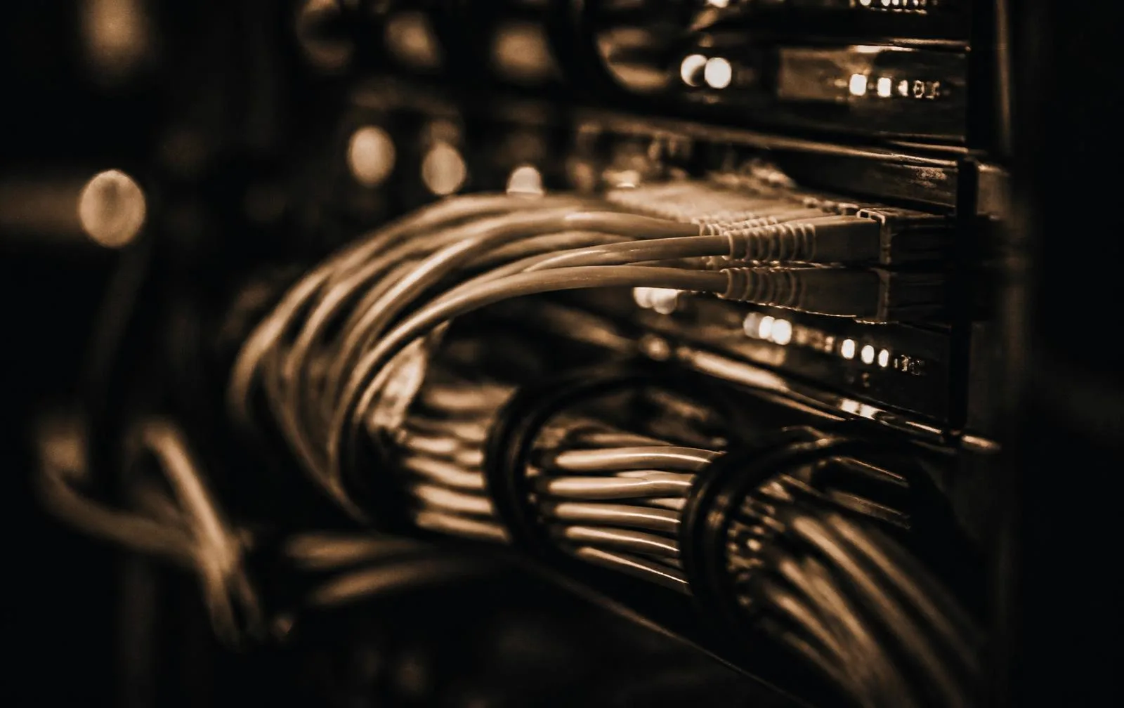 Network switch ports with neatly routed patch cables carrying production traffic